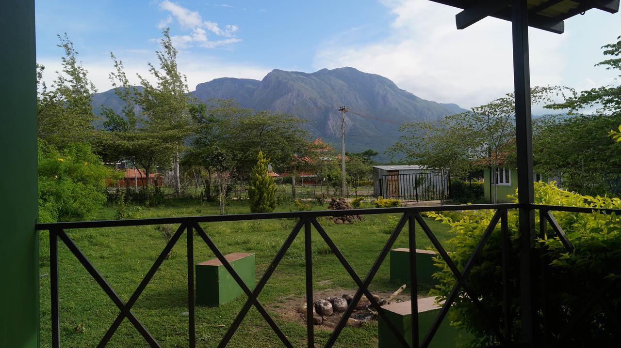 Mountain View Hotel Masinagudi Kültér fotó