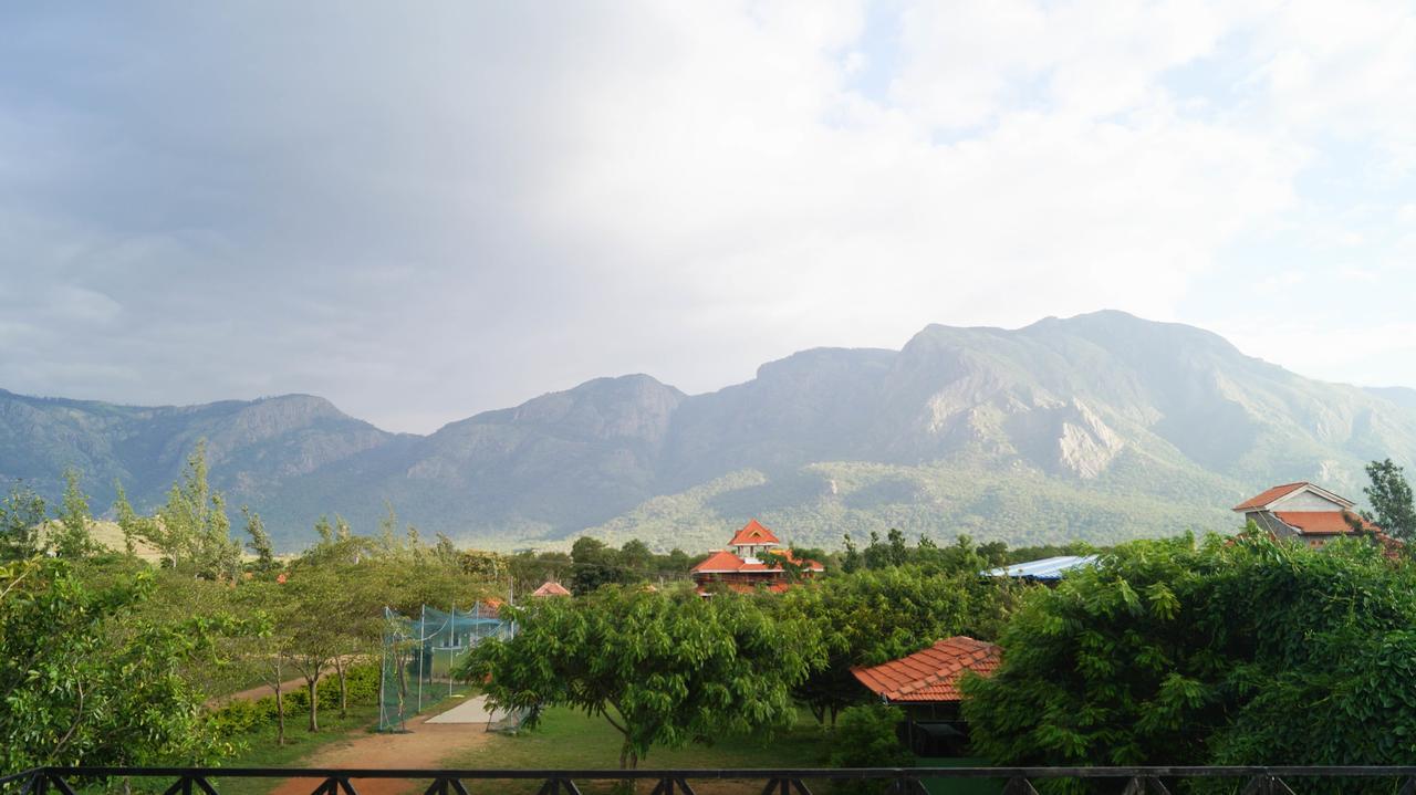 Mountain View Hotel Masinagudi Kültér fotó